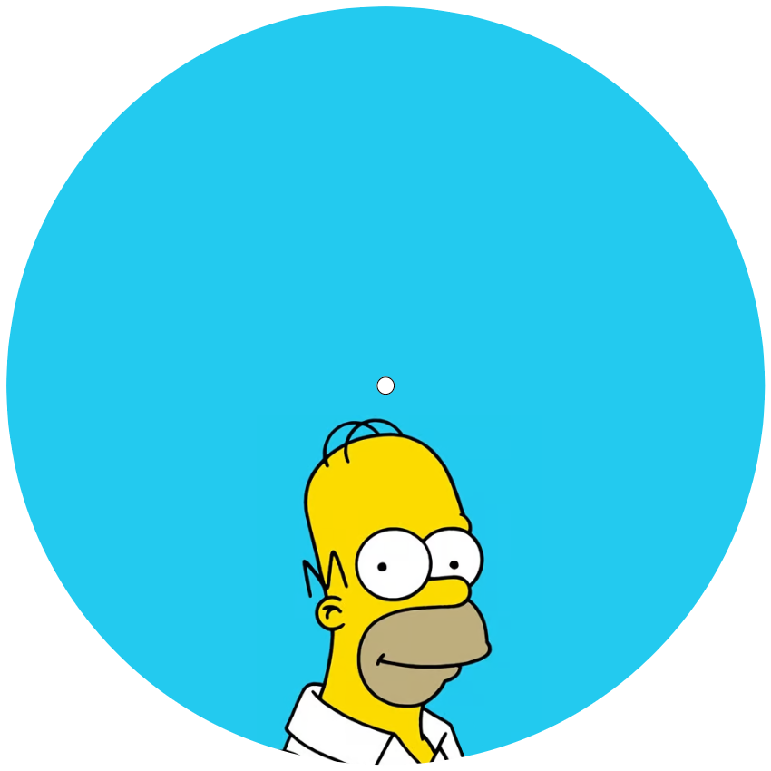 Homer Simpson Slipmat